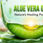 Benefits of applying aloe vera on face at night