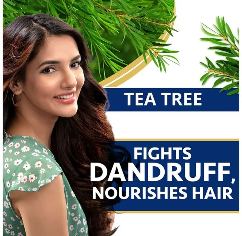 520 anti dandruff tea tree shampoo 340 180ml pack of 2 himalaya original
