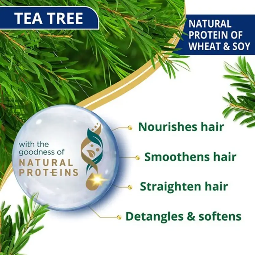 520 anti dandruff tea tree shampoo 340 180ml pack of 2 himalaya original imah6zmvz6kpnnqv