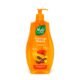 Nyle Naturals Damage Repair Shampoo 400ml