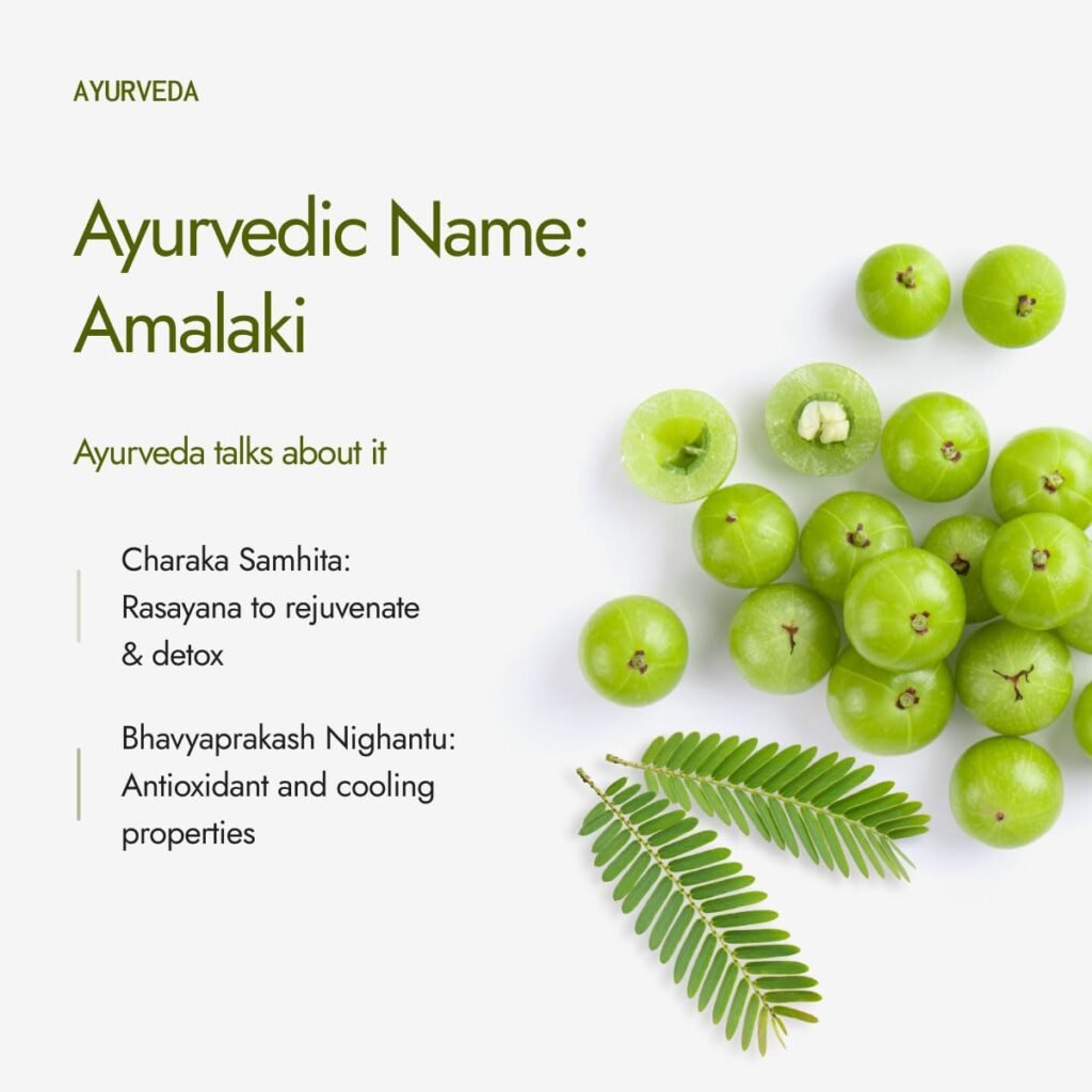 Best Kapiva Organic Amla Powder 100g