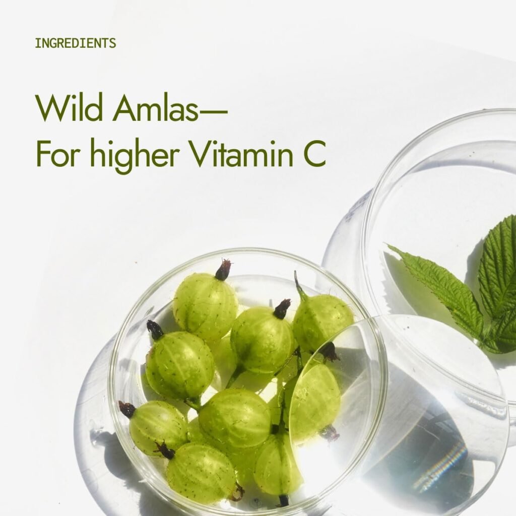 Best Kapiva Organic Amla Powder 100g